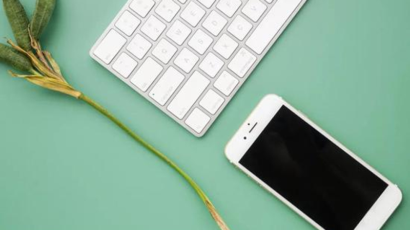 疫情中的蘋果:下調營收預期 供應鏈復工難 零售店關停